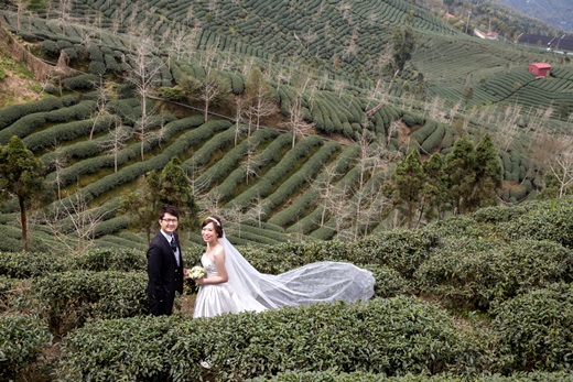 台灣婚紗,台灣婚紗公司,台中婚紗,婚紗台中,台中婚紗推薦,推薦台中婚紗,台中婚紗攝影,台中婚紗公司,台中婚紗公司推薦,台中婚紗店,台中婚紗店推薦,台中婚紗價格,台中婚紗價錢,台中婚紗介紹,台中婚紗分享,台中婚紗比較,台中手工婚紗,台中婚紗評價,台中婚紗推薦ptt,台中婚紗公司推薦ptt,台中婚紗店推薦ptt,推薦婚紗公司,推薦婚紗攝影