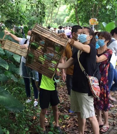 觀音山中華大悲法藏佛教會,台中觀音山佛堂,大學佛學社,台中佛教會,台中道場,台中佛堂,台中學佛,台中佛教,佛法講座,佛法開示,聽開示