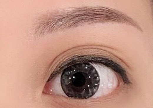 台中繡眼線 台中繡眼線