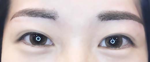 台中繡眼線 台中繡眼線