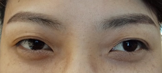 台中繡眼線 台中繡眼線