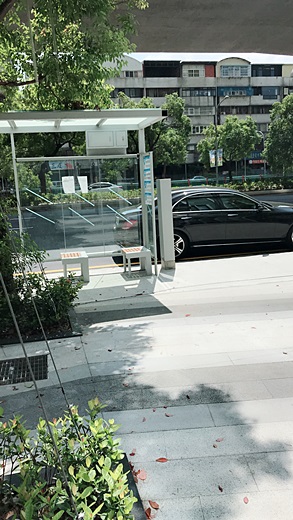 台中霧眉 台中霧眉