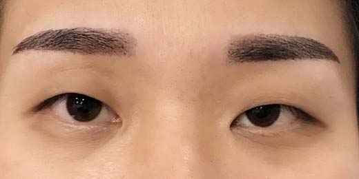 台中繡眼線 台中繡眼線