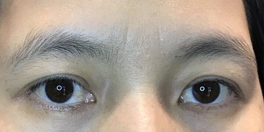 台中繡眼線 台中繡眼線
