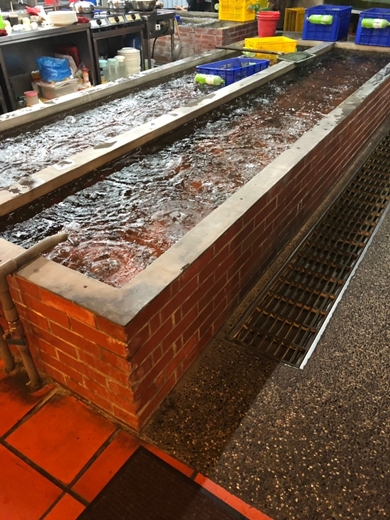 新竹餐廳 新竹餐廳