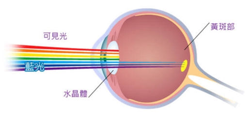 高雄眼科醫師