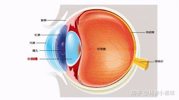 高雄眼科權威醫師