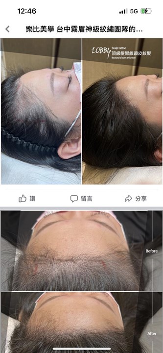 苗栗皮-版所有(比美) 苗栗-版所有(比美)
