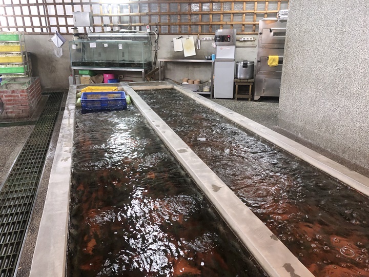 新竹餐廳推薦-黃金海岸活蝦之家
