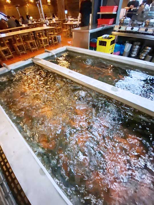 新竹聚餐-黃金海岸活蝦之家