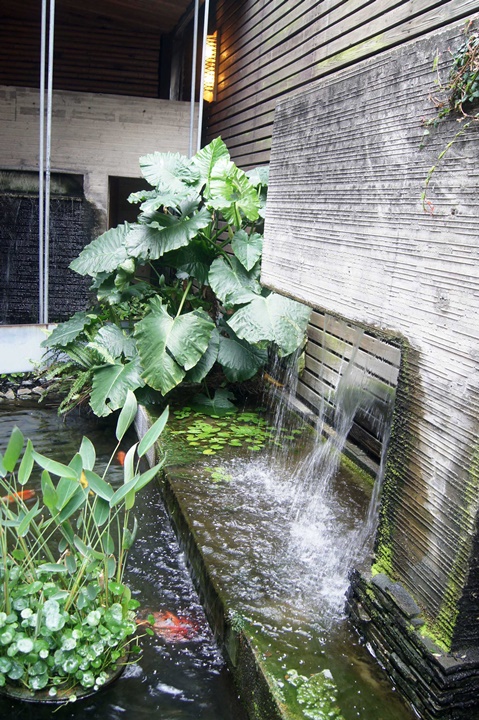 新竹美食聚餐餐廳-黃金海岸活蝦之家