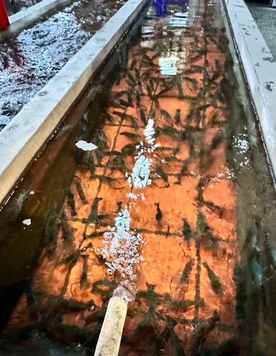 竹北餐廳-新竹黃金海岸活蝦之家