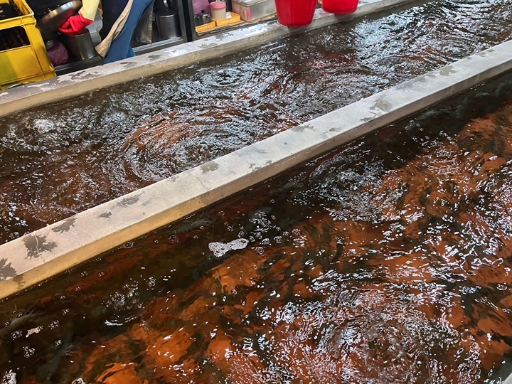 新竹海鮮餐廳-黃金海岸
